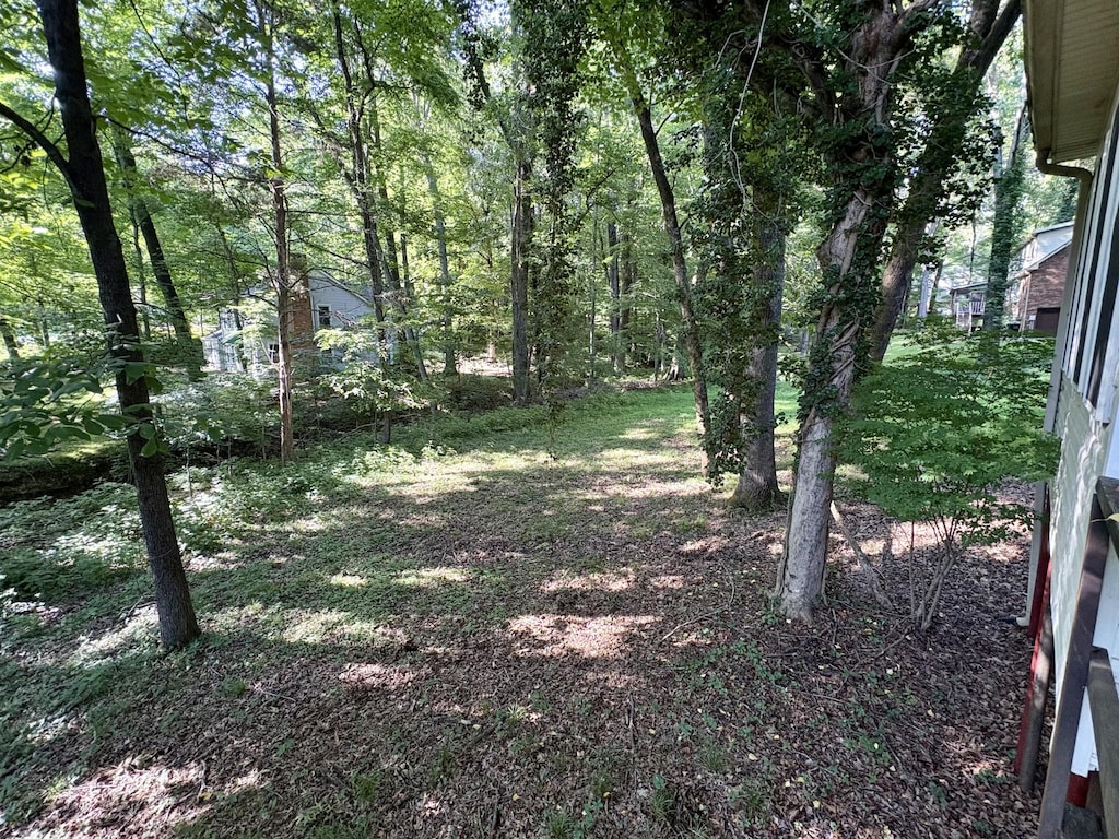 805 Shady Bluff Trl, Clarksville, TN 37043 - photo 3