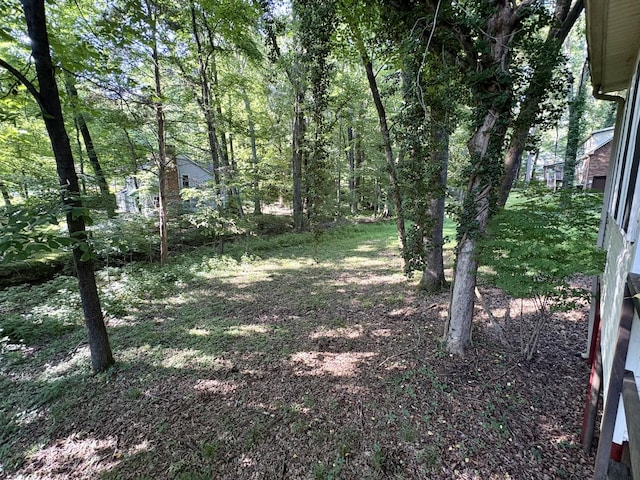 805 Shady Bluff Trl, Clarksville, TN 37043 - photo 3
