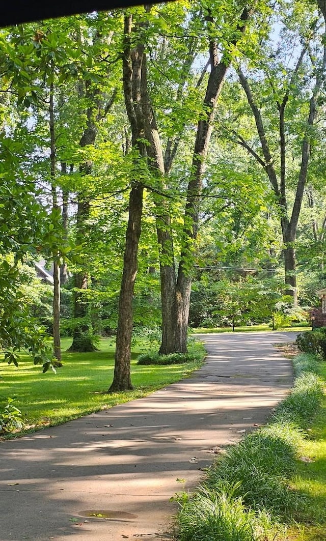 315 Gun Club Rd, Nashville, TN 37205 - view of street