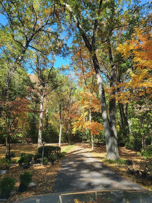 315 Gun Club Rd, Nashville, TN 37205 - surrounding community