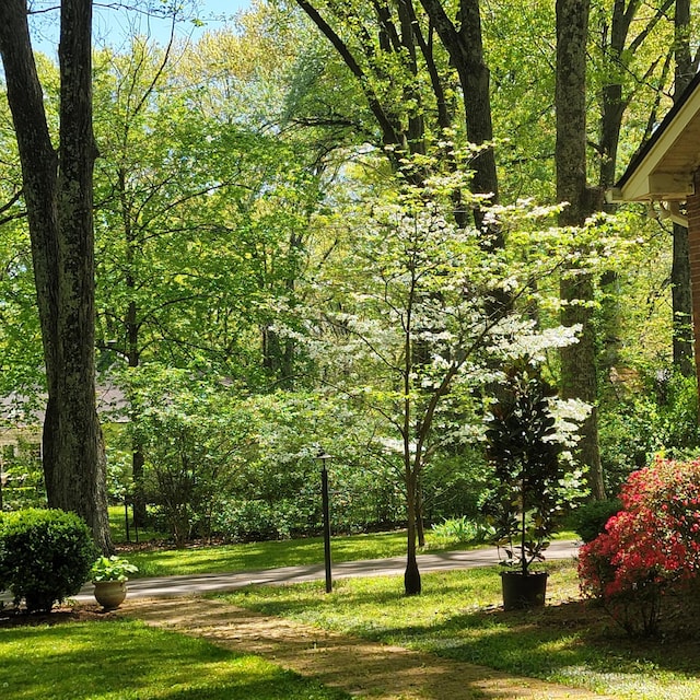 315 Gun Club Rd, Nashville, TN 37205 - view of community featuring a yard