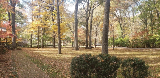 315 Gun Club Rd, Nashville, TN 37205 - view of property's community