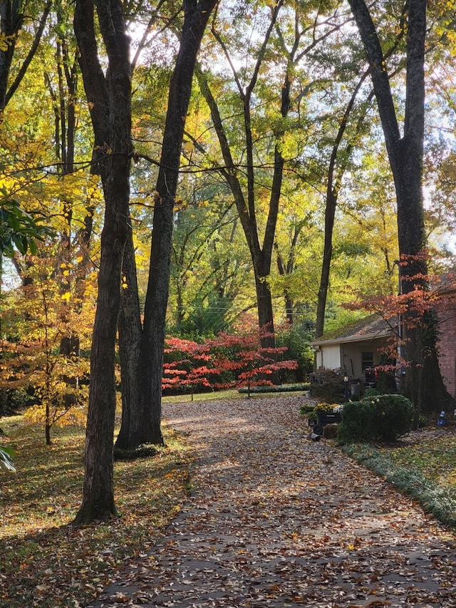 315 Gun Club Rd, Nashville, TN 37205 - view of home's community