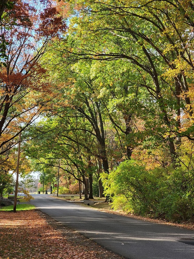 315 Gun Club Rd, Nashville, TN 37205 - view of asphalt street