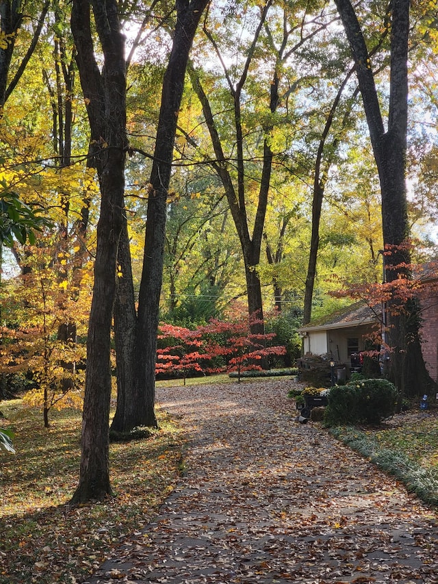 315 Gun Club Rd, Nashville, TN 37205 - view of yard