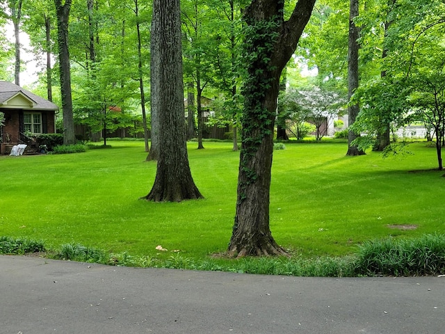 315 Gun Club Rd, Nashville, TN 37205 - view of green lawn