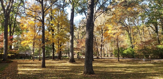 315 Gun Club Rd, Nashville, TN 37205 - surrounding community