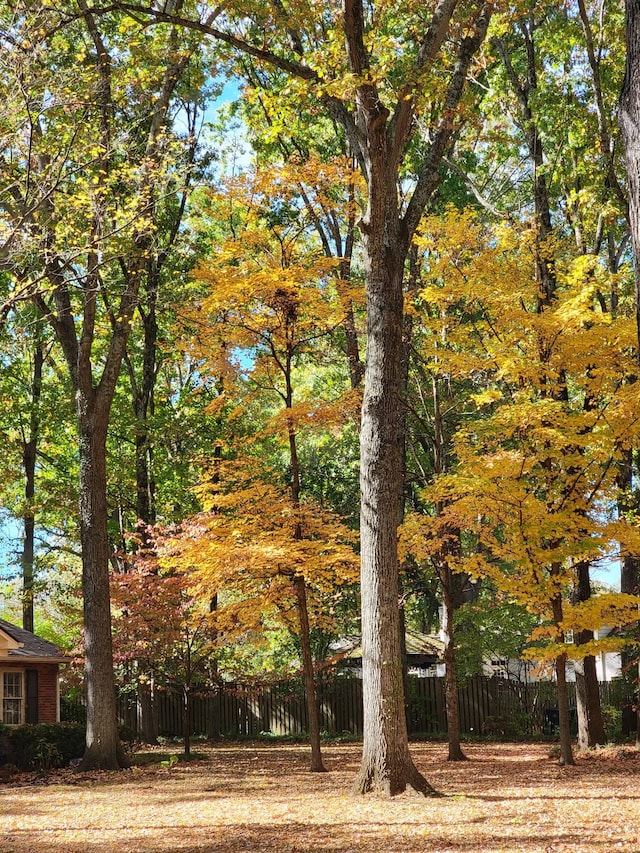 315 Gun Club Rd, Nashville, TN 37205 - view of yard