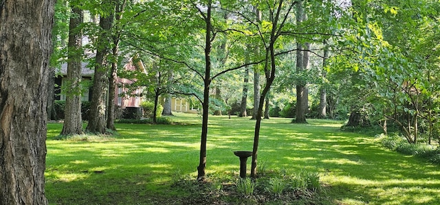 315 Gun Club Rd, Nashville, TN 37205 - surrounding community featuring a lawn