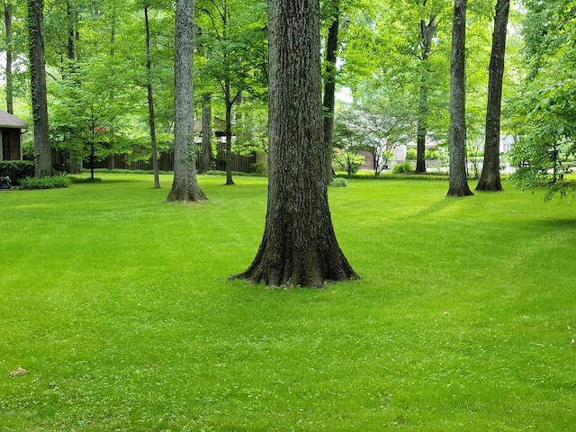 315 Gun Club Rd, Nashville, TN 37205 - view of grassy yard