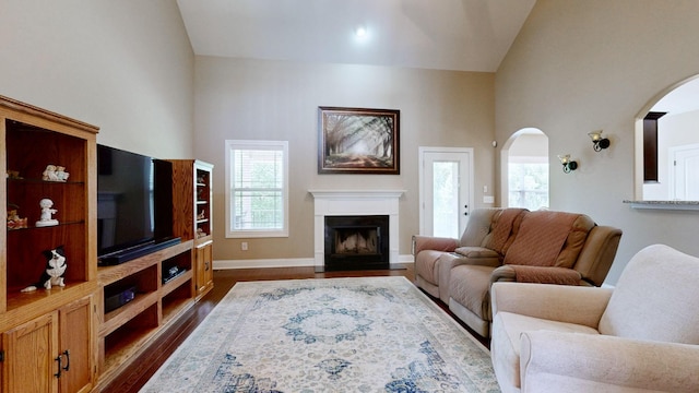 1007 Via Francesco Way, Spring Hill, TN 37174 - living room with plenty of natural light, dark wood finished floors, a fireplace with flush hearth, high vaulted ceiling, and arched walkways