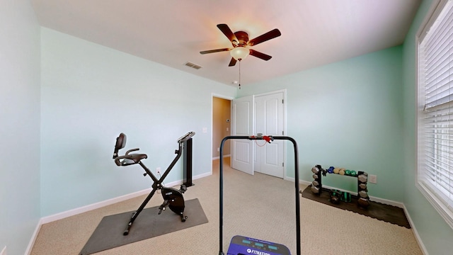 1007 Via Francesco Way, Spring Hill, TN 37174 - exercise area with a ceiling fan and carpet flooring