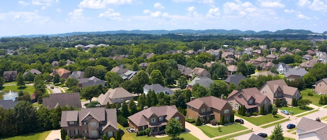 1007 Via Francesco Way, Spring Hill, TN 37174 - aerial perspective of suburban area