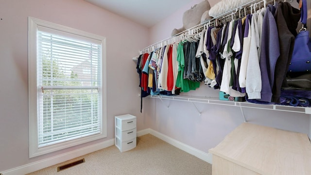1007 Via Francesco Way, Spring Hill, TN 37174 - walk in closet with carpet floors