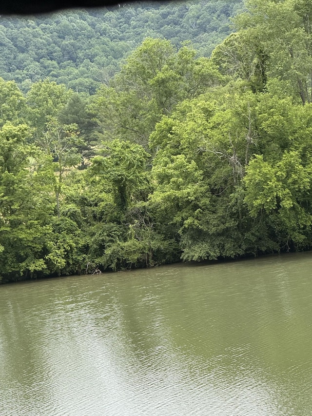 210 Edwin Smith Ln, Gainesboro, TN 38562 - photo 51