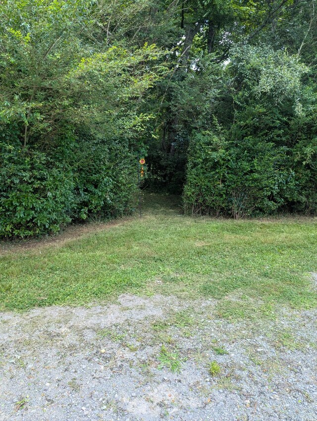 210 Edwin Smith Ln, Gainesboro, TN 38562 - photo 4