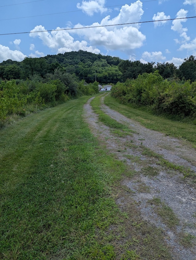 210 Edwin Smith Ln, Gainesboro, TN 38562 - photo 3