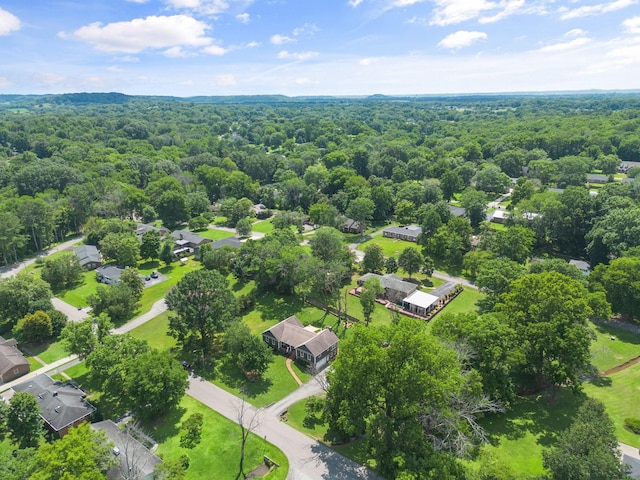 1400 Manor Rd, Columbia, TN 38401 - aerial view of a forest