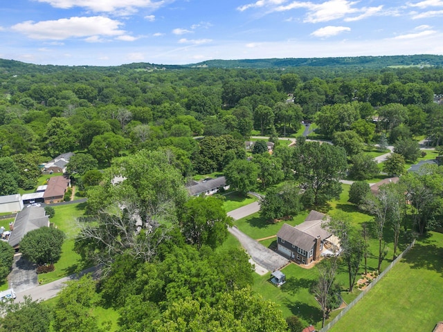 1400 Manor Rd, Columbia, TN 38401 - aerial view of a forest