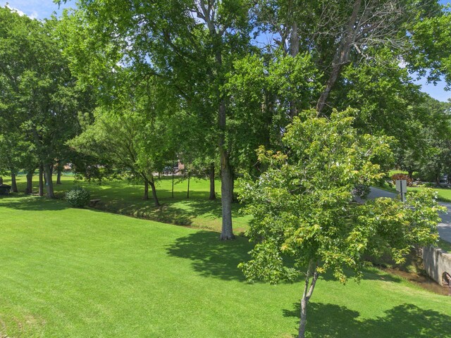 1400 Manor Rd, Columbia, TN 38401 - view of green lawn