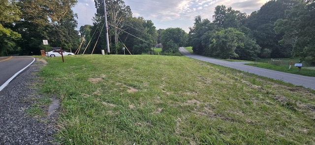 5548 Abednego Rd, Greenbrier, TN 37073 - photo 8