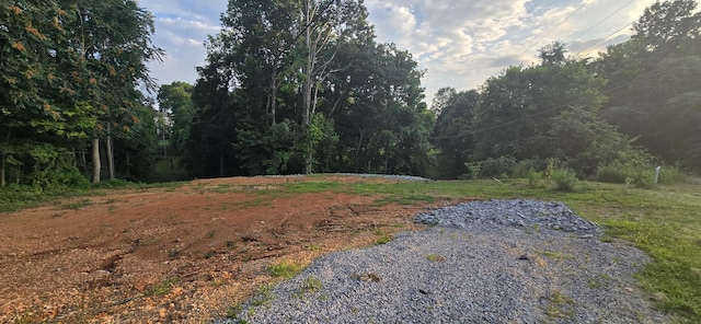 5548 Abednego Rd, Greenbrier, TN 37073 - photo 3