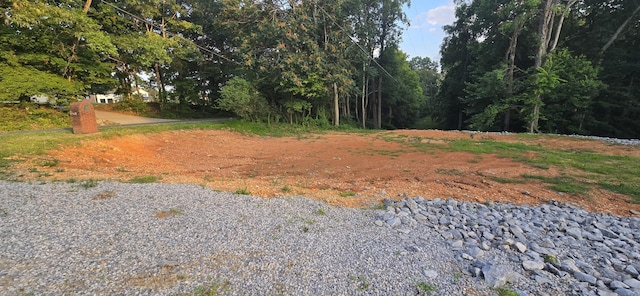 5548 Abednego Rd, Greenbrier, TN 37073 - photo 12