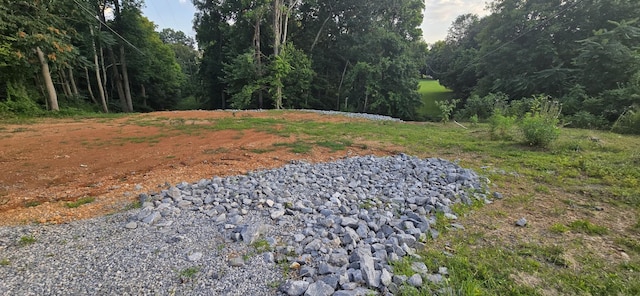 5548 Abednego Rd, Greenbrier, TN 37073 - photo 10