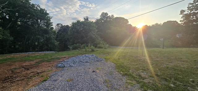 5548 Abednego Rd, Greenbrier, TN 37073 - photo 5