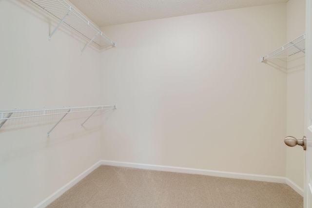 317 Sarava Ln, Smyrna, TN 37167 - spacious closet featuring carpet floors