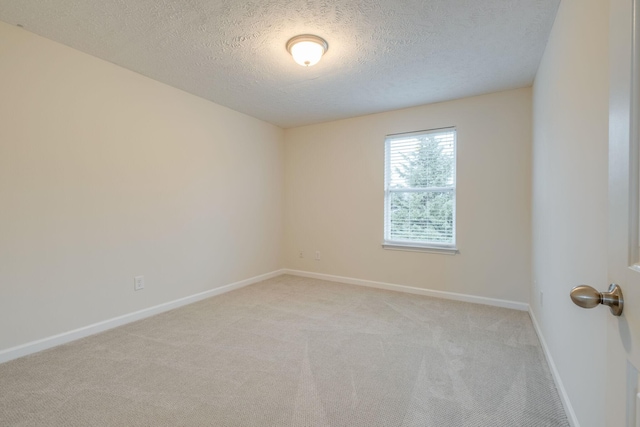 317 Sarava Ln, Smyrna, TN 37167 - unfurnished room with light carpet and a textured ceiling