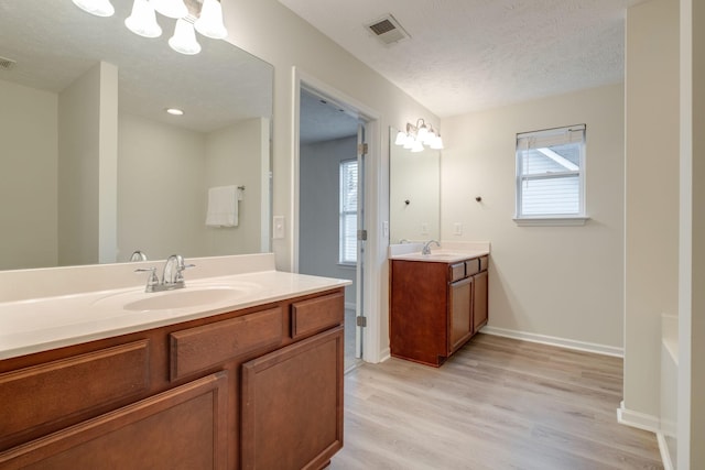 317 Sarava Ln, Smyrna, TN 37167 - bathroom with vanity, wood finished floors, plenty of natural light, and a textured ceiling