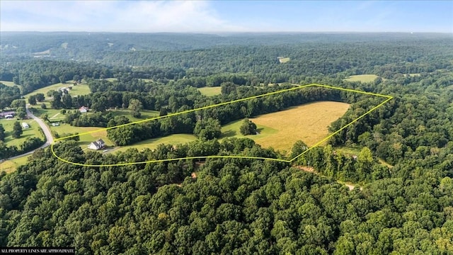 5455 Bales Rd, Cunningham, TN 37052 - aerial view of property and surrounding area featuring property parcel outlined