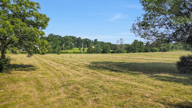 1896 W Harpeth Rd, Franklin, TN 37064 - view of grassy yard with a rural view