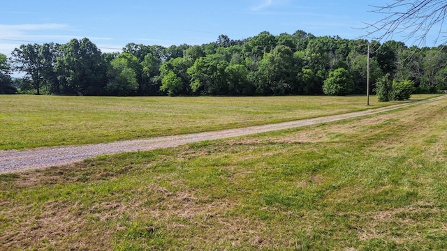 1896 W Harpeth Rd, Franklin, TN 37064 - view of dirt / gravel road with a forest view