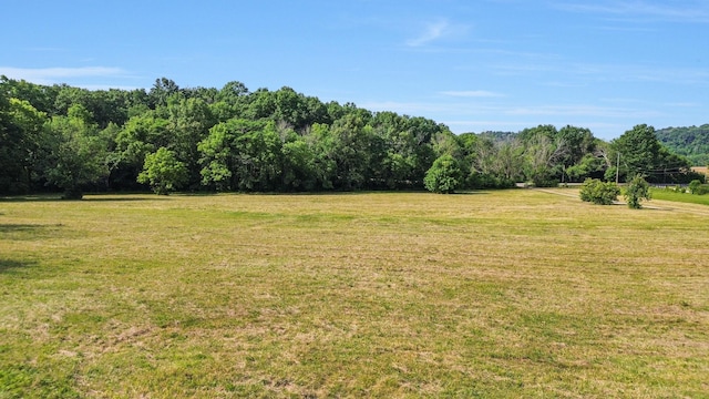 1896 W Harpeth Rd, Franklin, TN 37064 - view of green lawn featuring a rural view and a forest view