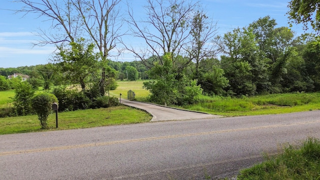1896 W Harpeth Rd, Franklin, TN 37064 - view of asphalt street