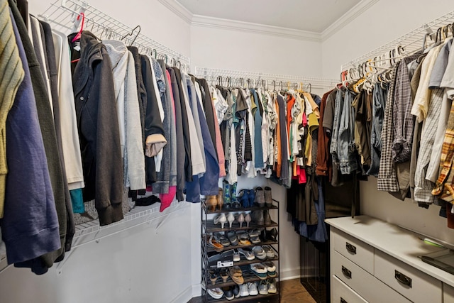2717 Cloister Ln, Thompsons Station, TN 37179 - walk in closet with wood finished floors