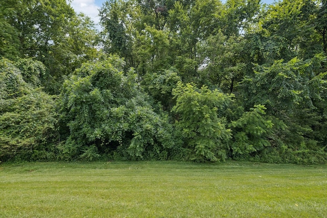 2717 Cloister Ln, Thompsons Station, TN 37179 - view of grassy yard with a view of trees