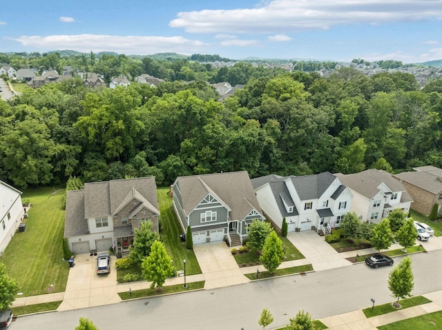 2717 Cloister Ln, Thompsons Station, TN 37179 - aerial view of residential area