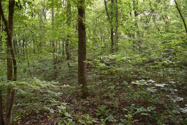 0 Poplar Hill Rd, Prospect, TN 38477 - photo 8