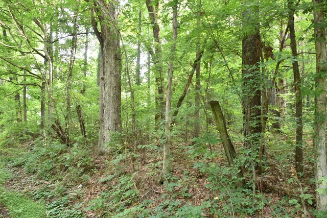 0 Poplar Hill Rd, Prospect, TN 38477 - photo 6