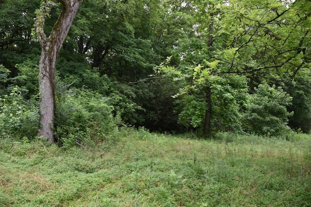 0 Poplar Hill Rd, Prospect, TN 38477 - photo 2