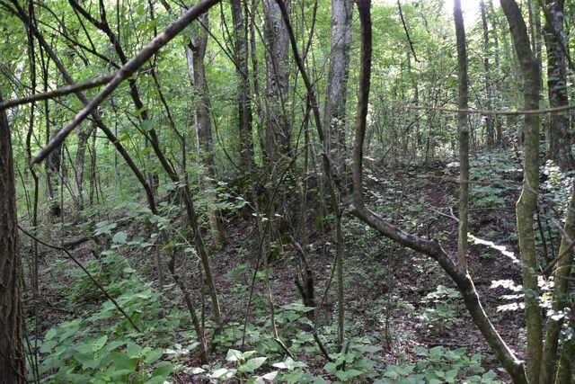 0 Poplar Hill Rd, Prospect, TN 38477 - photo 9