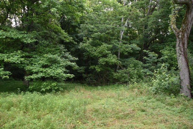 0 Poplar Hill Rd, Prospect, TN 38477 - photo 1