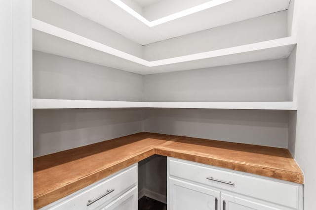 1045 Alta Vista Ln, Smyrna, TN 37167 - view of storage area