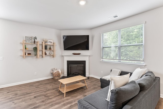 1045 Alta Vista Ln, Smyrna, TN 37167 - living area featuring wood finished floors and a fireplace with flush hearth