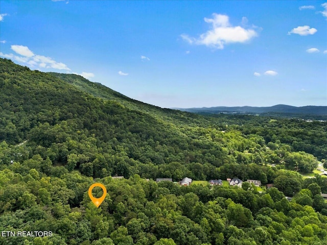 573 Hilltop Dr, Jacksboro, TN 37757 - mountain view featuring a heavily wooded area