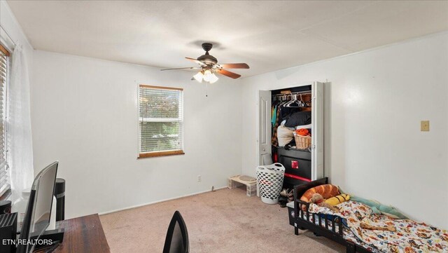 936 Wheeler Rd, White Pine, TN 37890 - photo 9