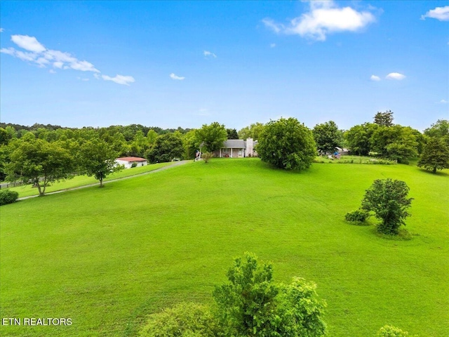 936 Wheeler Rd, White Pine, TN 37890 - photo 32